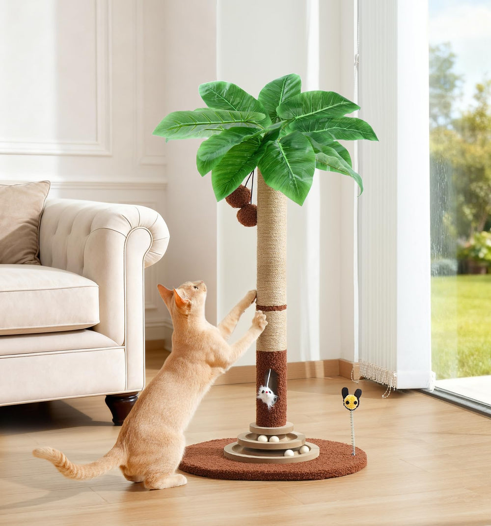 Surface griffage en sisal et tissu pour durabilité