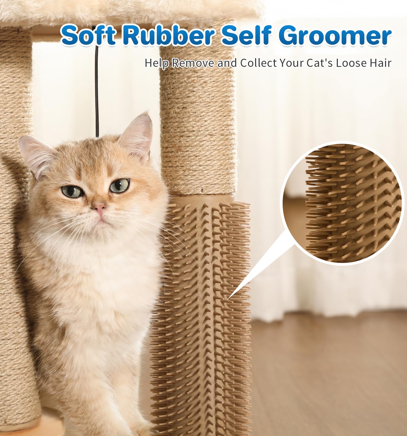 MADE 4 PETS ideal-petits-chatons: dimension adapte pour chatons