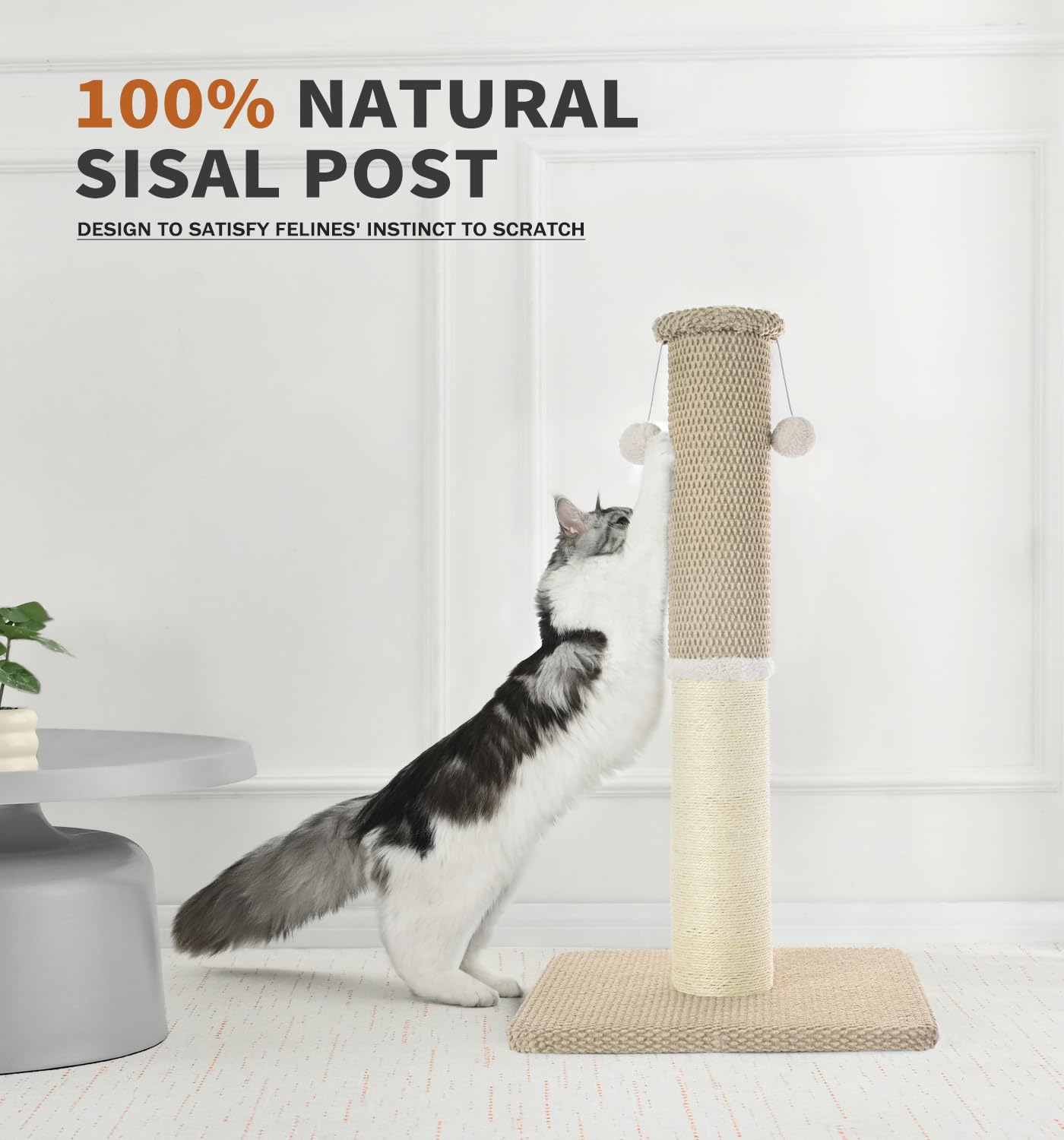 Made4Pets parfait pour interieurs, convient a chats adultes et chatons.