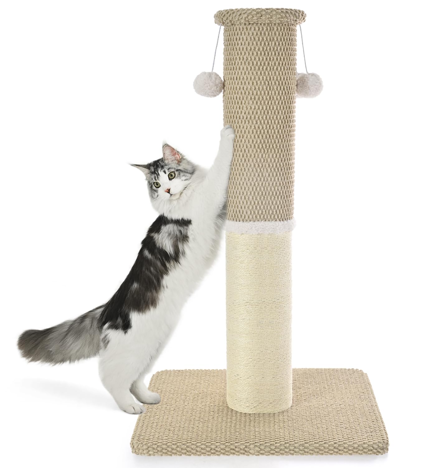 Made4Pets poteau chat haut 33 pouces, base solide pour chats actifs.