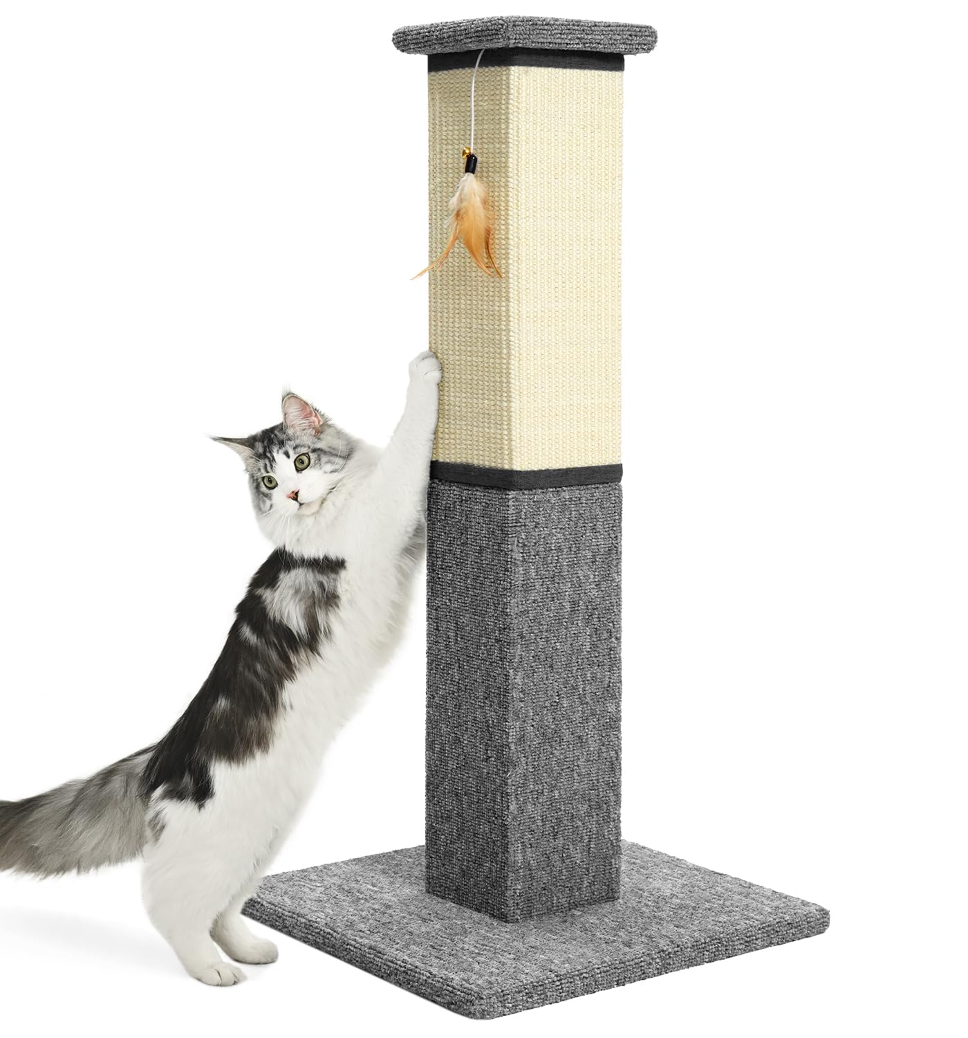 Made4Pets poteau à gratter 32 po, sommet sisal naturel pour étirement.