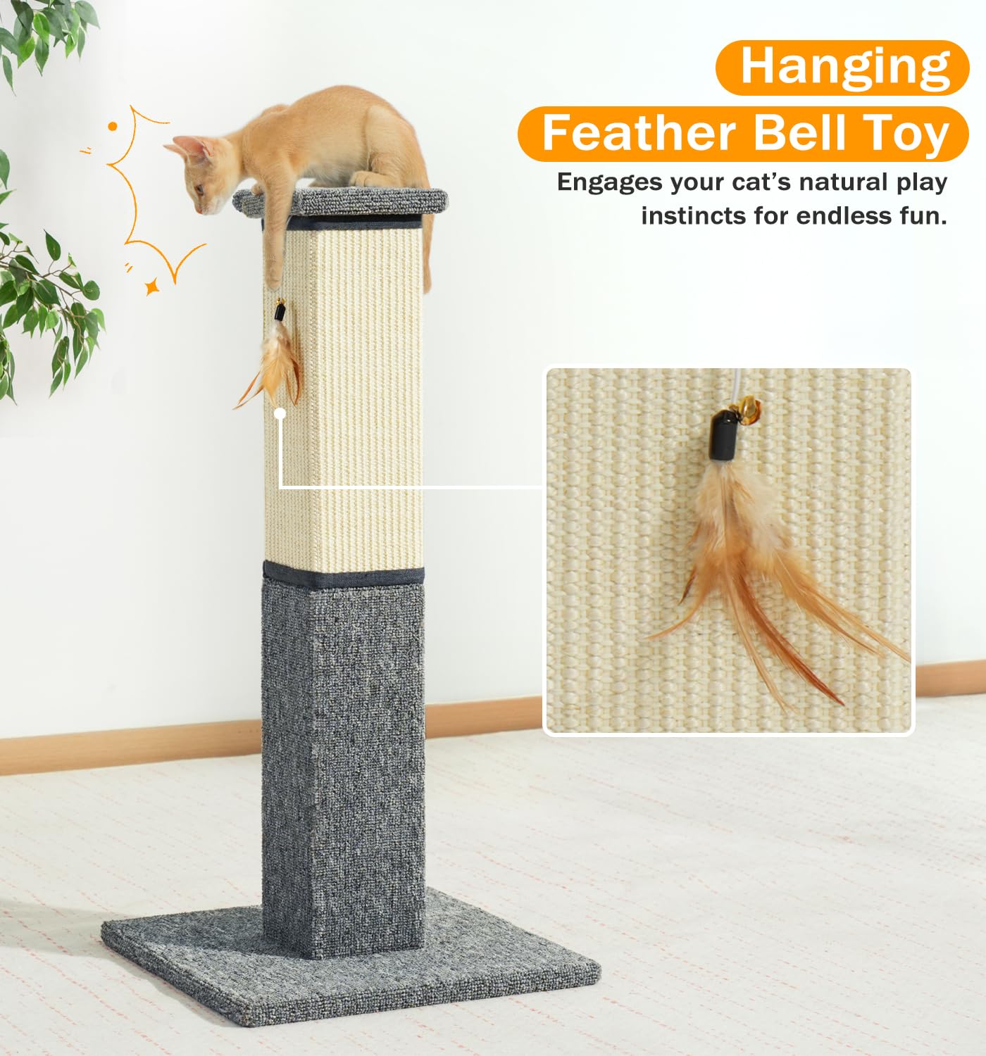 Utilisation en intérieur adaptée aux chatons et chats adultes.