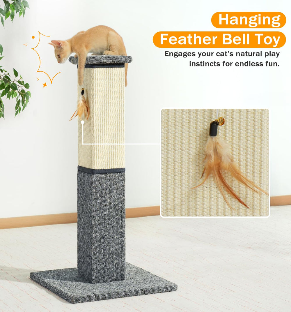 Utilisation en intérieur adaptée aux chatons et chats adultes.