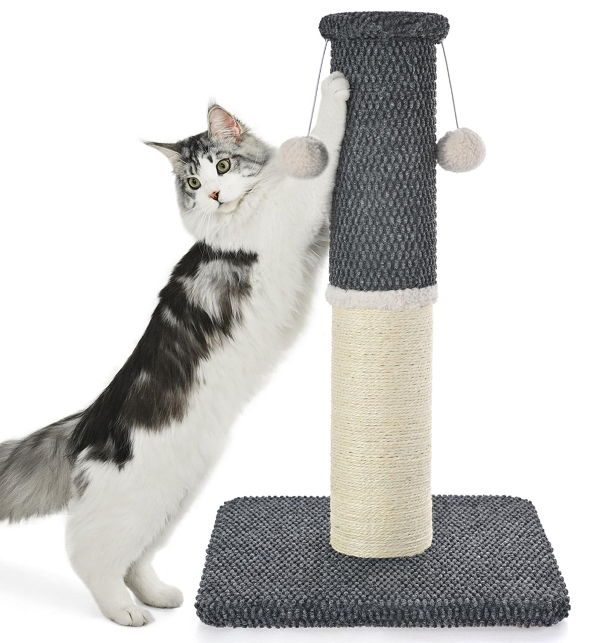 MADE 4 PETS poteau griffage chat haute hauteur et base robuste pour stabilité
