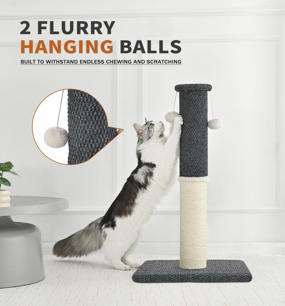 MADE 4 PETS conçu pour chats d'intérieur adultes et chatons