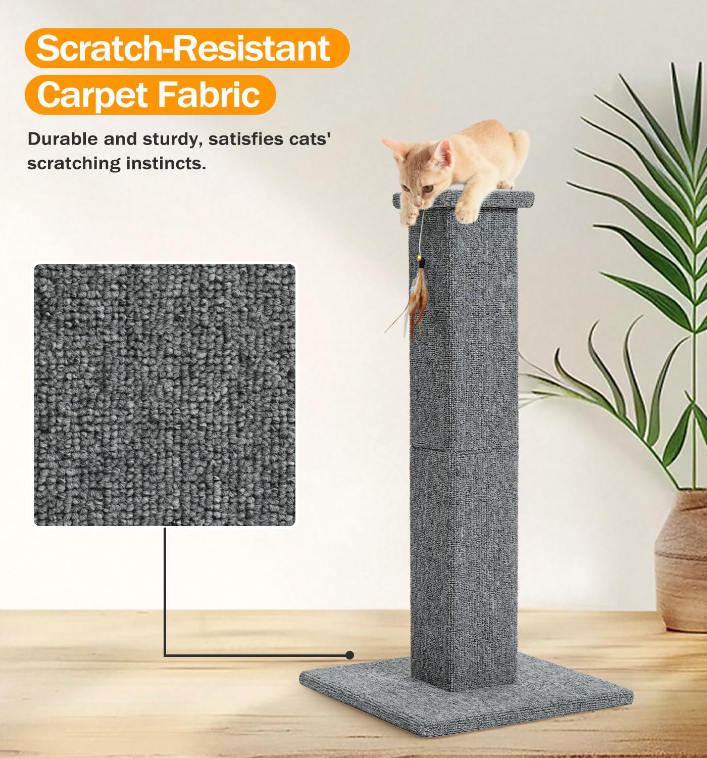 Utilisation intérieur idéale pour chat adulte et chaton Made4Pets.