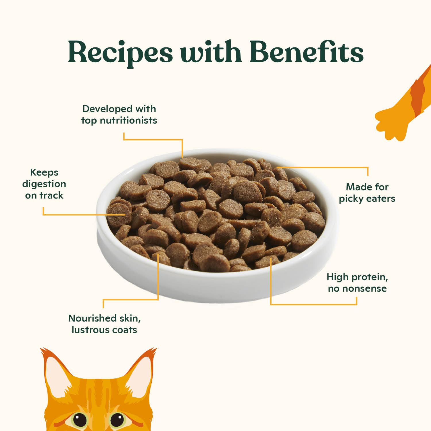Made by Nacho croquettes chaton digestion grâce prébiotiques et probiotiques.