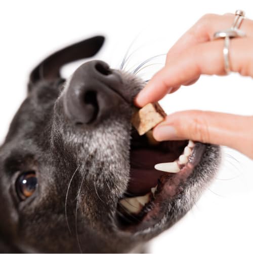 Maev sans additifs artificiels, snack naturel pour chiens sensibles.