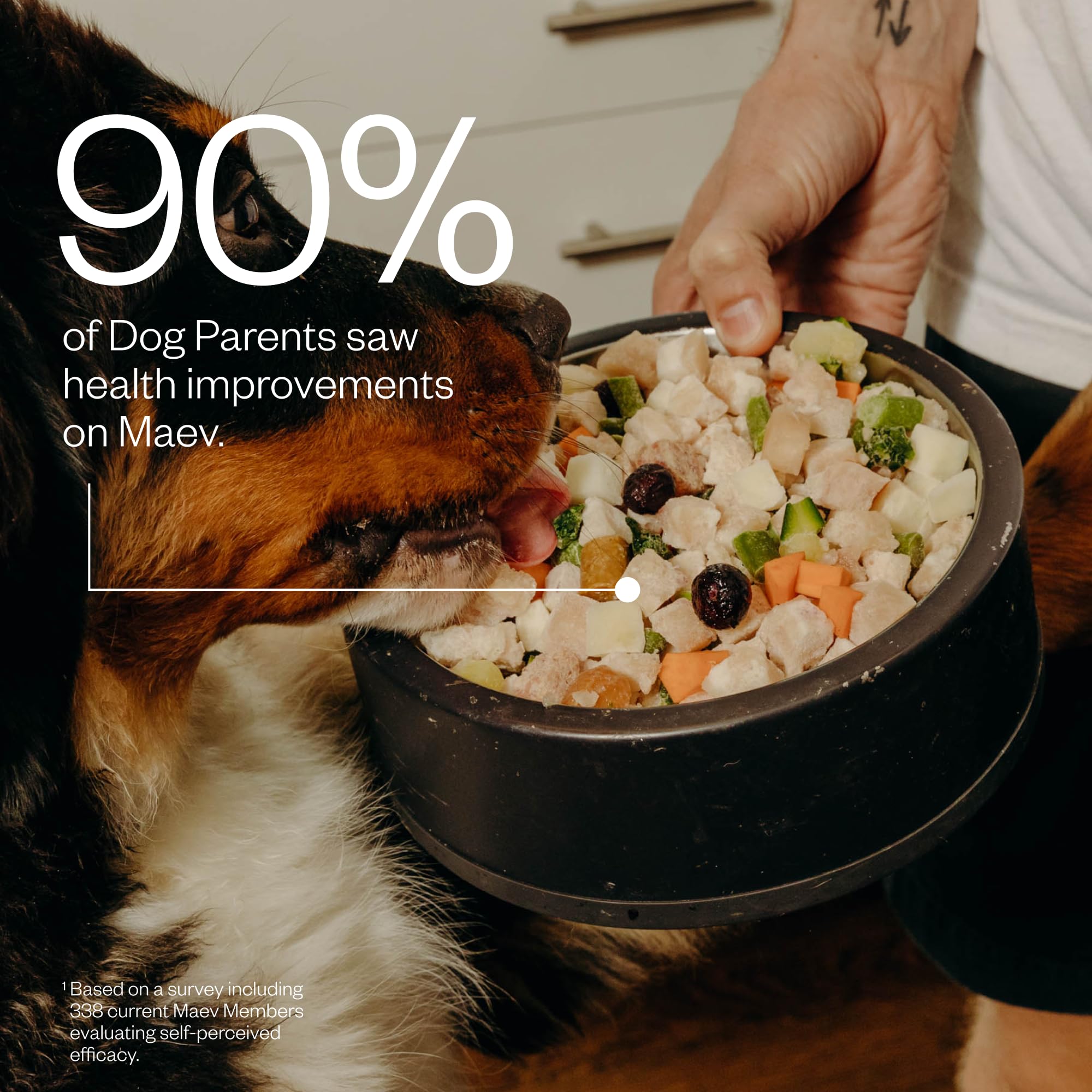 Maev sans gluten pour chiens sensibles ou intolérants