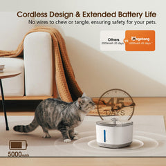 MAGETANG débit continu pour une hydratation régulière du chat.