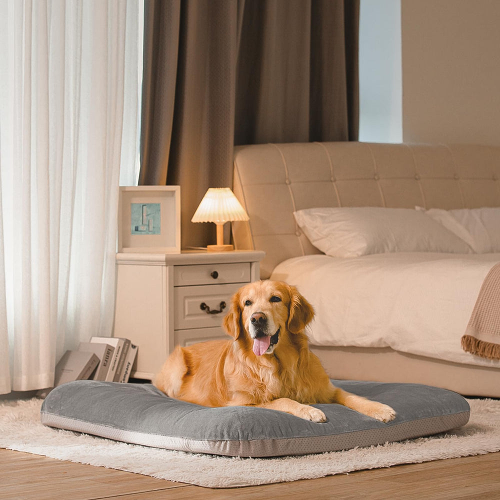 Magic Dog entretien rapide, housse durable pour usage quotidien.