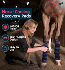 Magic Gel bottes glace double cheval avec fixation velcro simples.