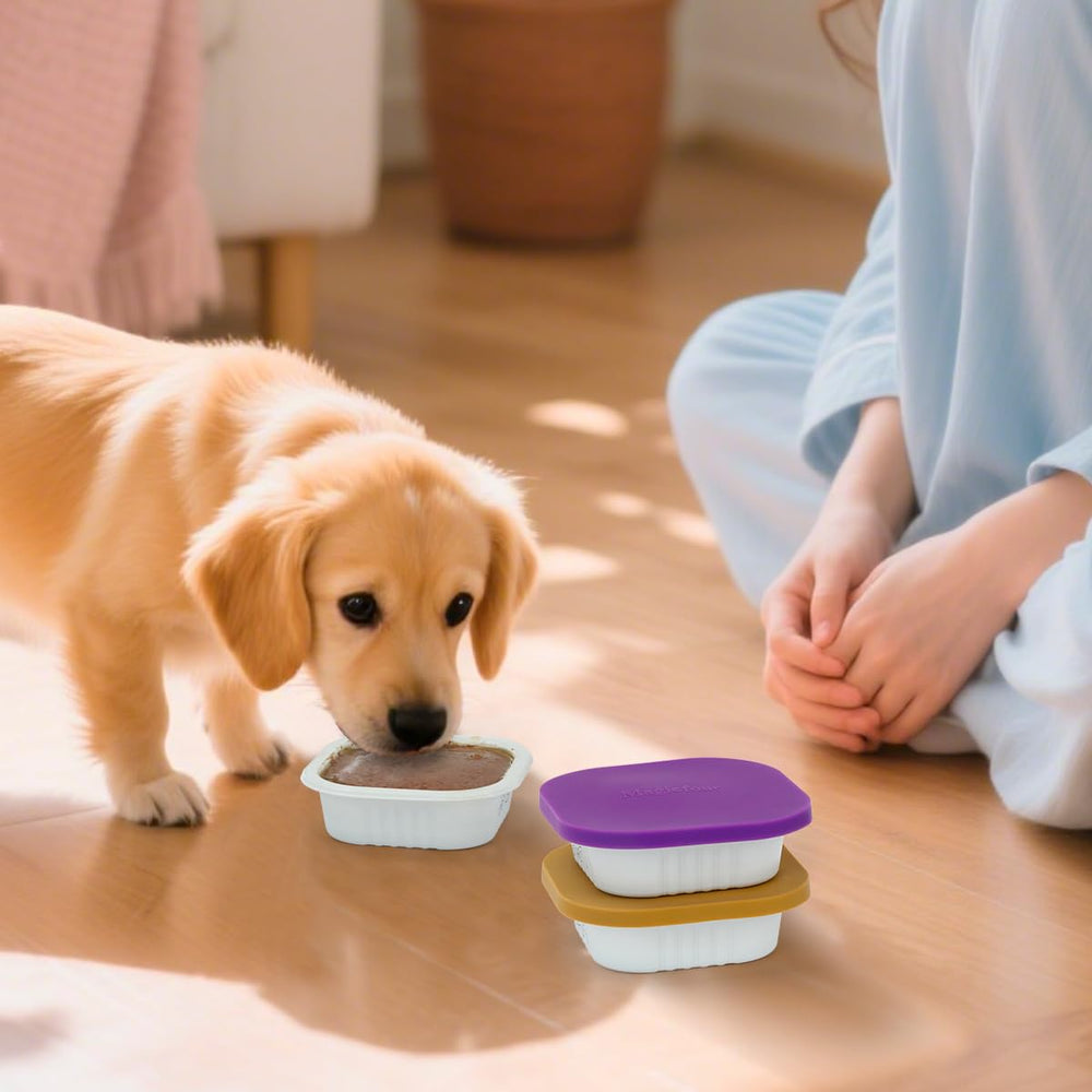 Magicfour: couvercle silicone Cesar; usage quotidien simple et durable.