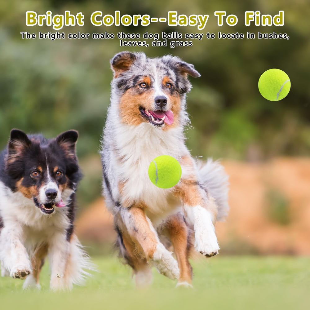 Magicorange jouet interactif pour chiens activité intérieure et extérieure.