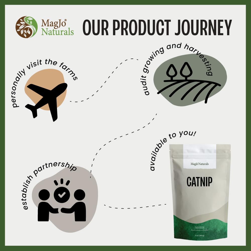 MagJo cataire : infusion d’herbes idéale pour une boisson chaude.