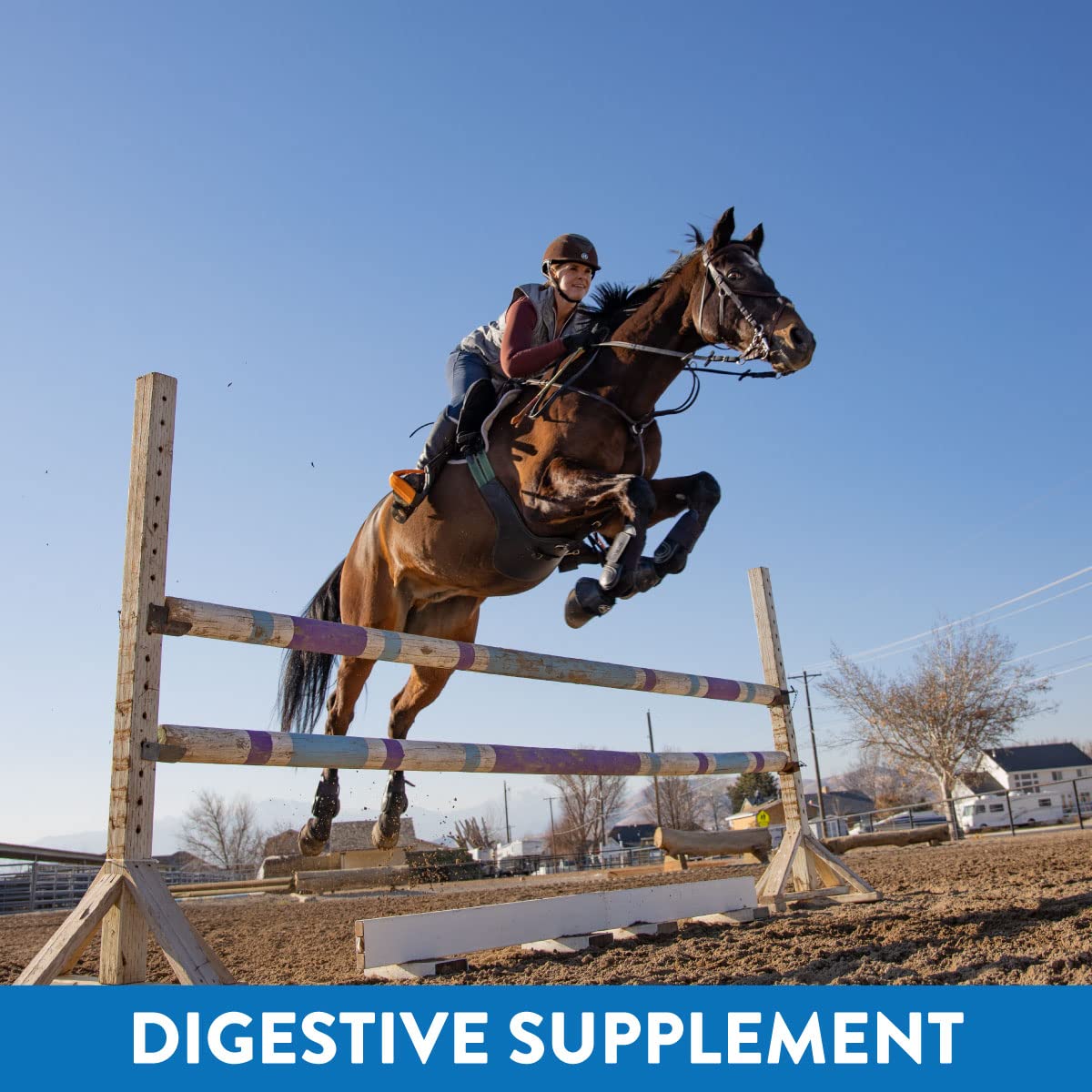 Cheval en mouvement avec MagnaGard, apaisement digestif et concentration.