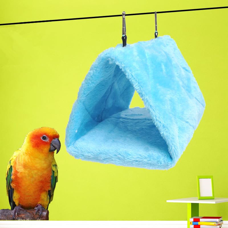Magnoloran nid-dormir-petit-oiseau bleu-gris, abri sûr pour sieste.