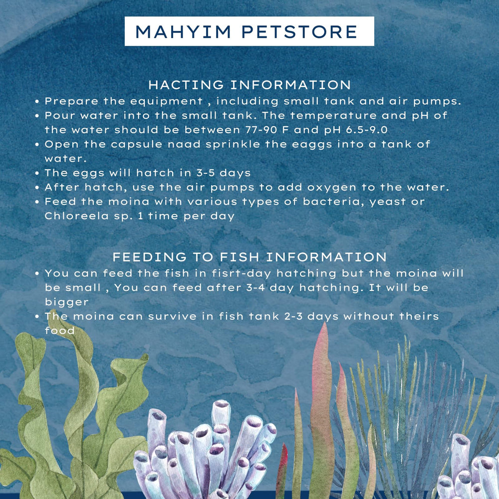 MAHYIM Moina Macrocopa crustacés d'eau douce, nourriture vivante pour poissons domestiques.