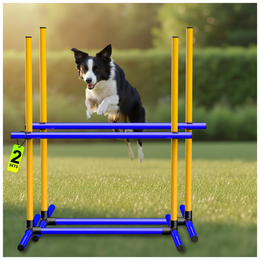 Maicobi kit-saut-chien bleu-jaune: visuel vif pour entraînements à domicile.