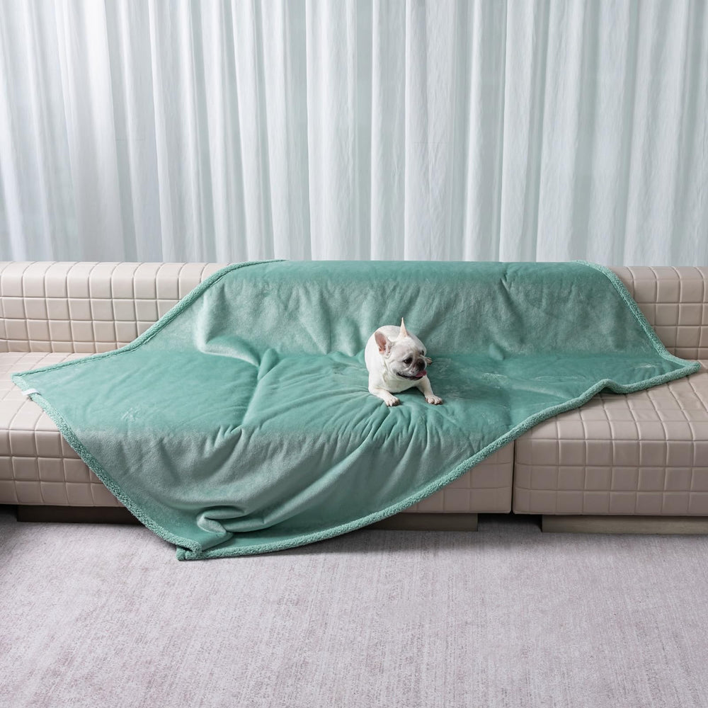 Maidewow face sherpa vert: chaleur douce pour votre animal