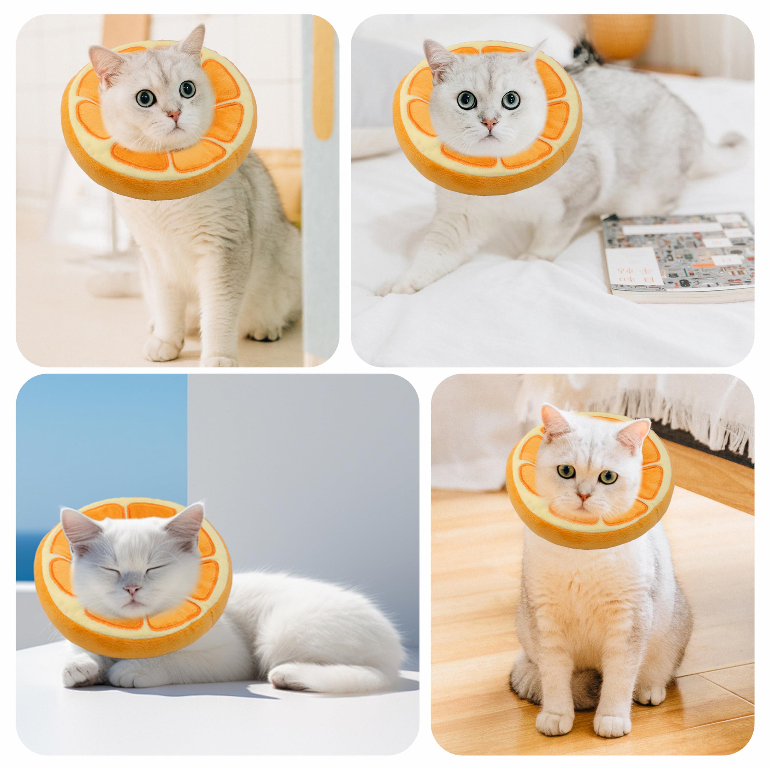 Maiiu collier récupération chat, pratique pour le quotidien et le repos.