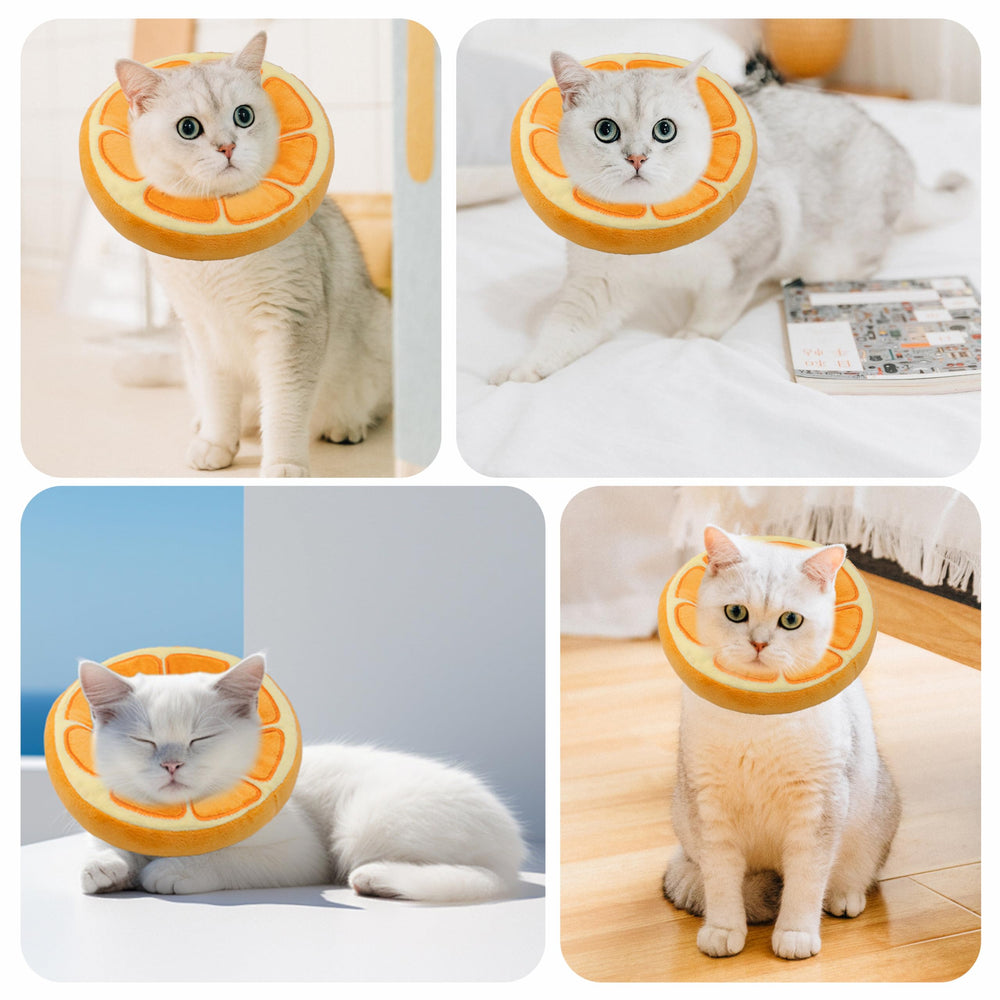 Maiiu collier récupération chat, pratique pour le quotidien et le repos.