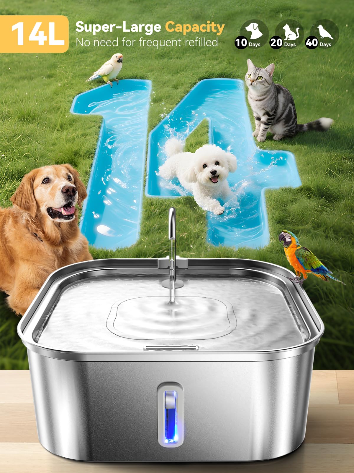MailOFY fontaine d'eau chien, bac profond et large réduisant les éclaboussures.