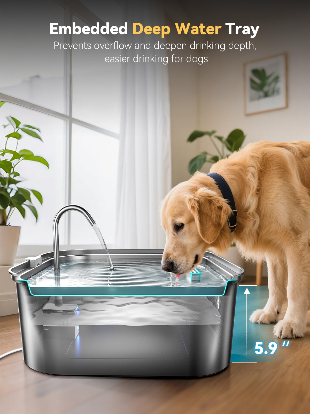MailOFY fontaine d'eau chien avec fenêtre de niveau pour surveiller l'eau.