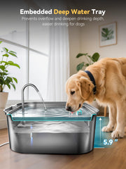 MailOFY fontaine d'eau chien avec fenêtre de niveau pour surveiller l'eau.