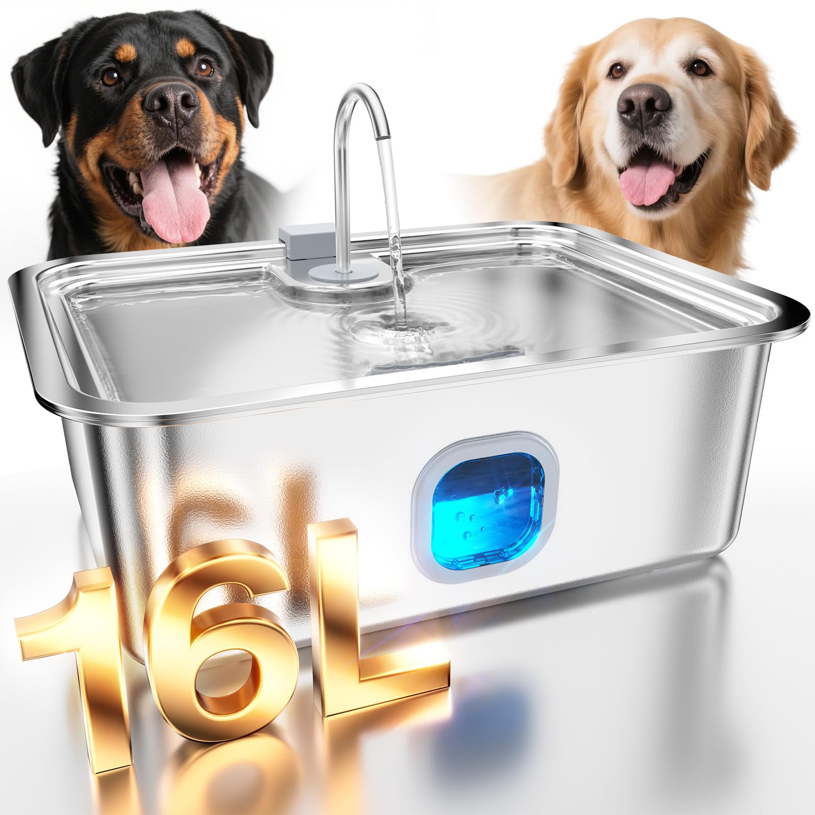 MAILOFY fontaine-eau-chien-grand-capacite-16l autonomie accrue pour grands chiens.