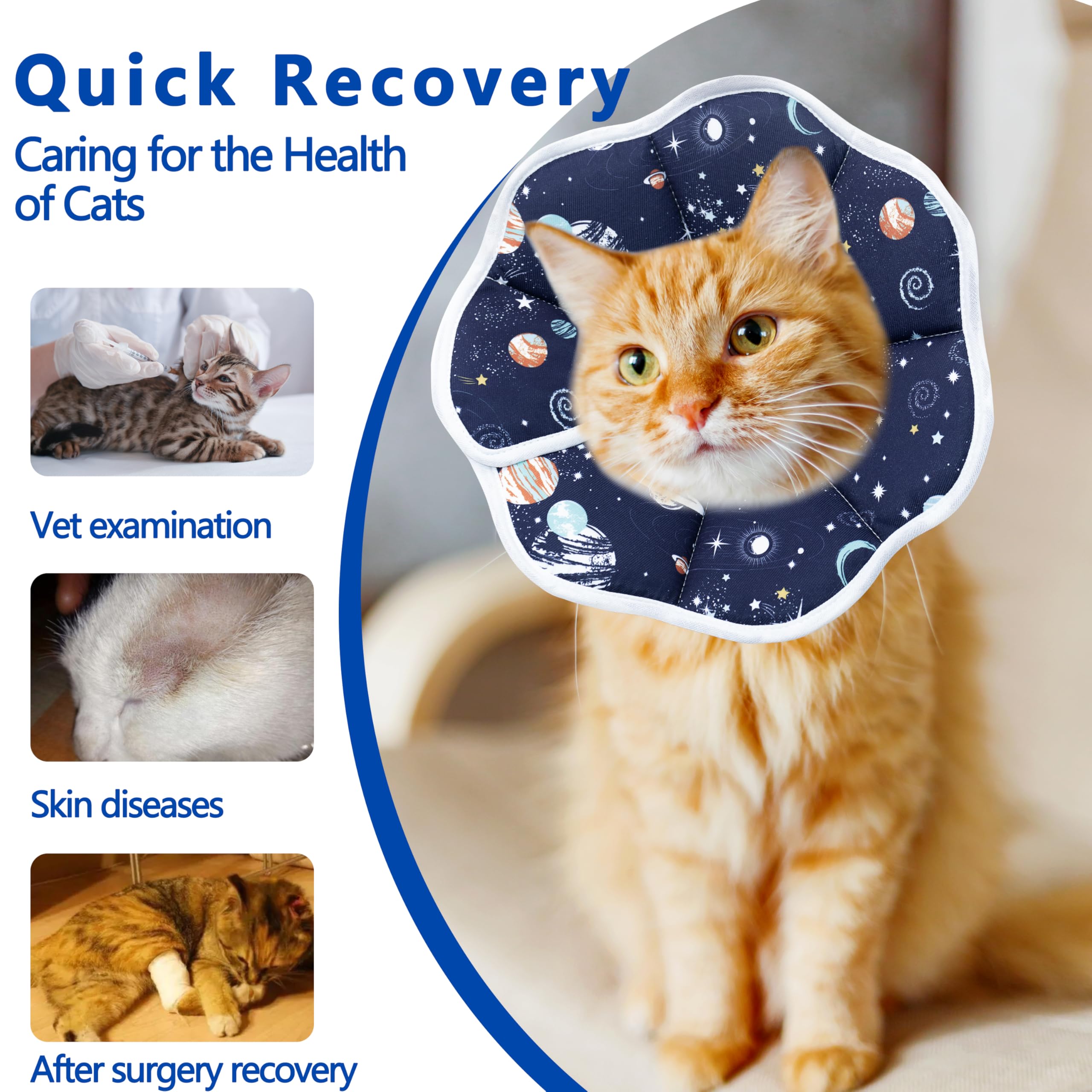 Maiiu collier conique chat pliable pour rangement pratique