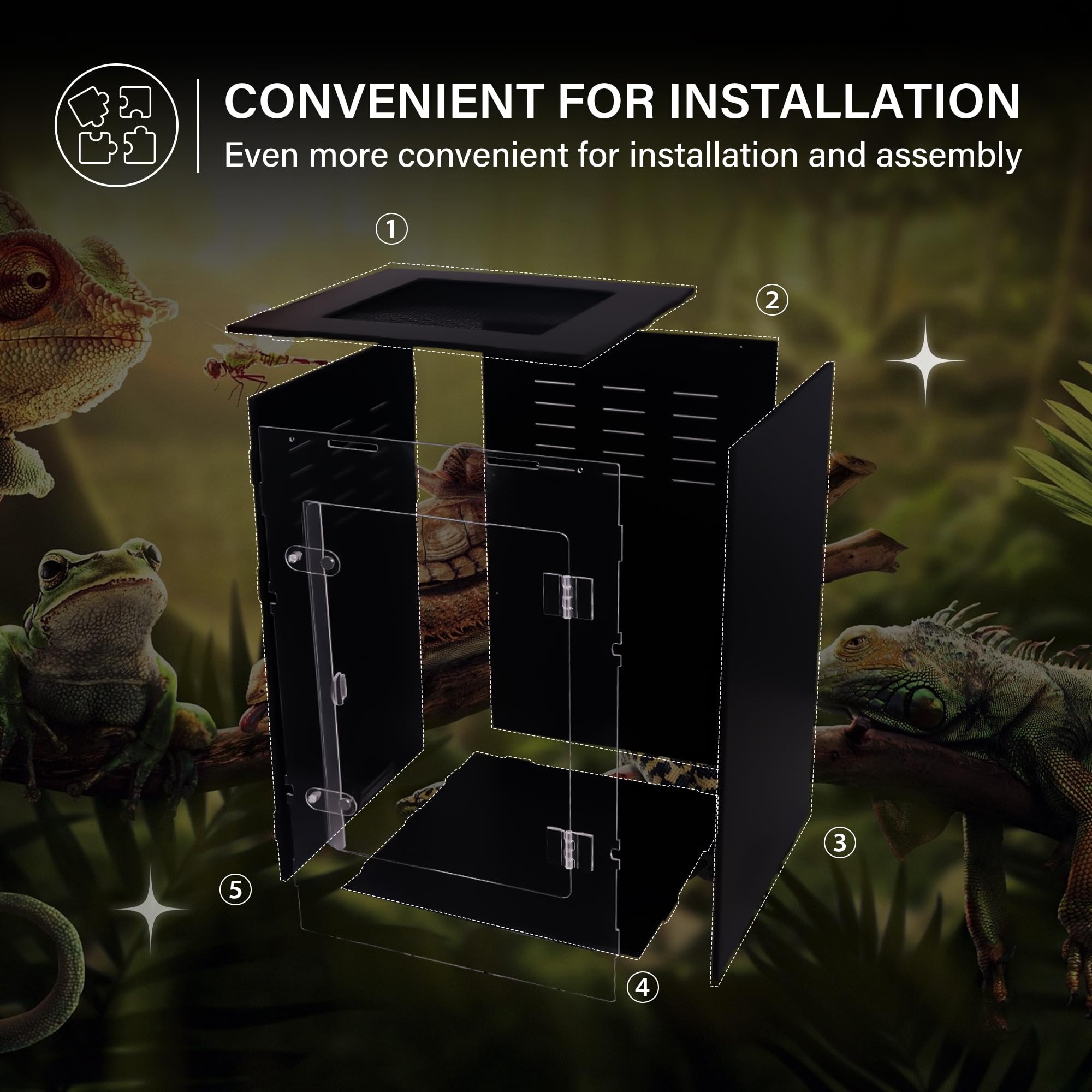 maiyuolg enclos-reptile petits reptiles diversite et compatibilite