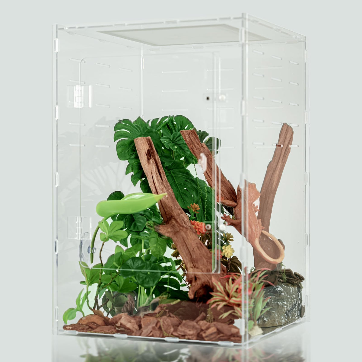 maiyuolg terrarium acrylique 12x12x18 offrant une observation nette sans distorsion
