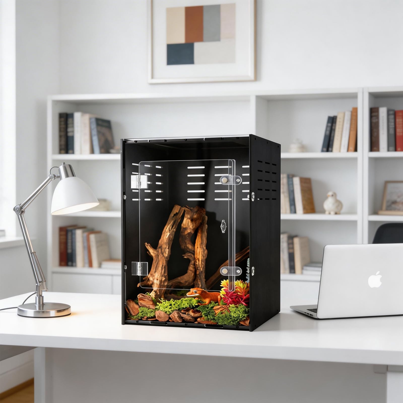 Terrarium maiyuolg 10 galons: entretien facile pour habitat propre.