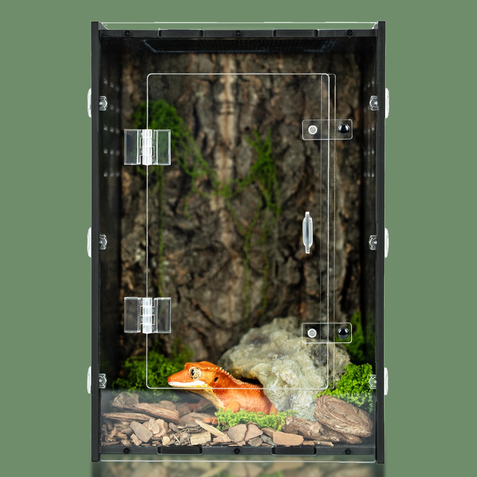 Maiyuolg terrarium-reptile-8x8x12: habitat compact et stable pour petites especes.