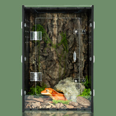 Maiyuolg terrarium-reptile-8x8x12: habitat compact et stable pour petites especes.