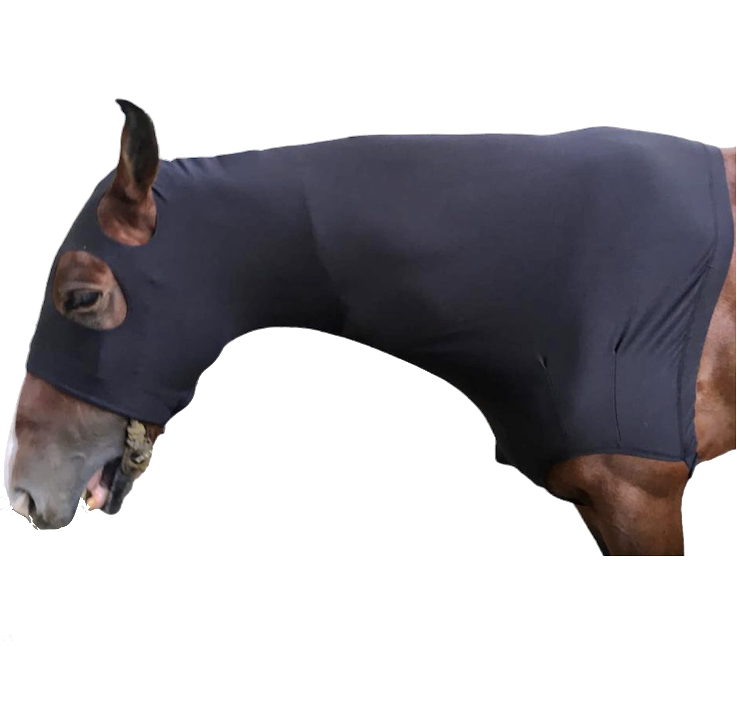 Capuche Majestic Ally confort doux, usage quotidien dans le haras