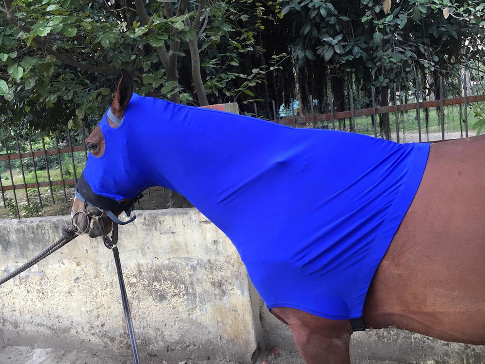 Majestic Ally capuche cheval bleu royal fermeture avant, enfiler facilement.