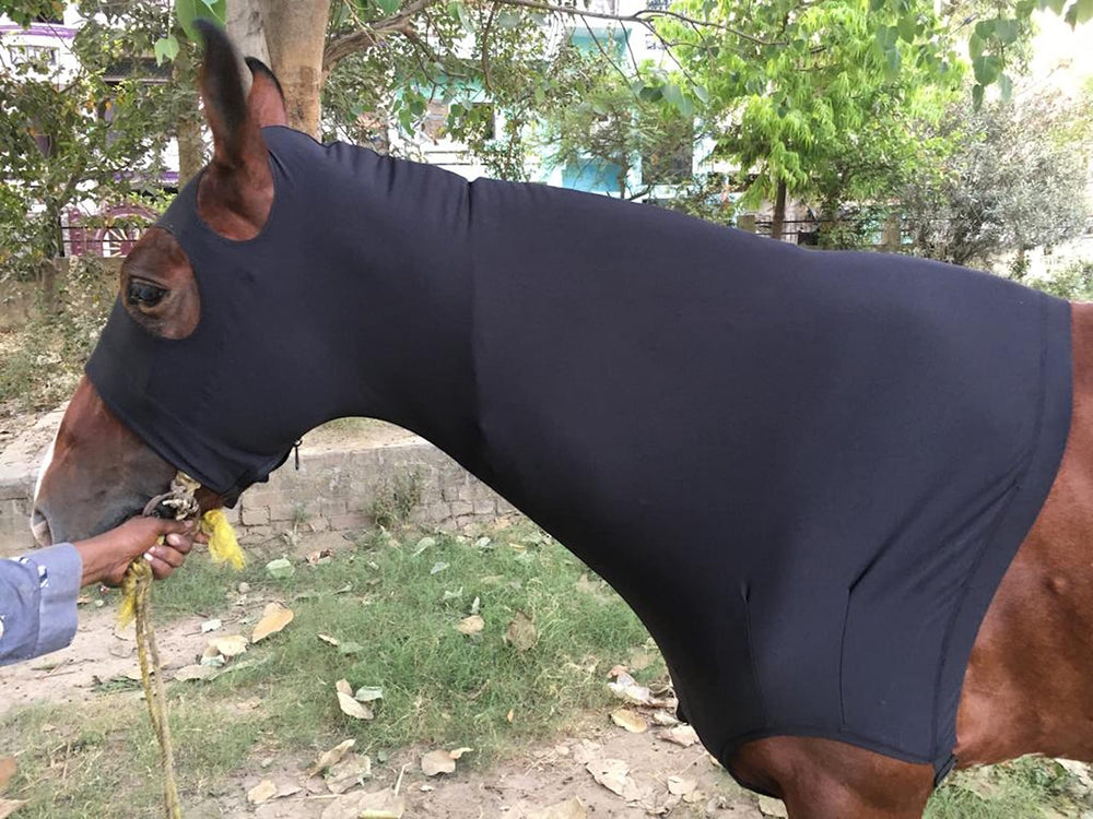 Capuche Majestic Ally nez polaire doux pour un toucher confortable
