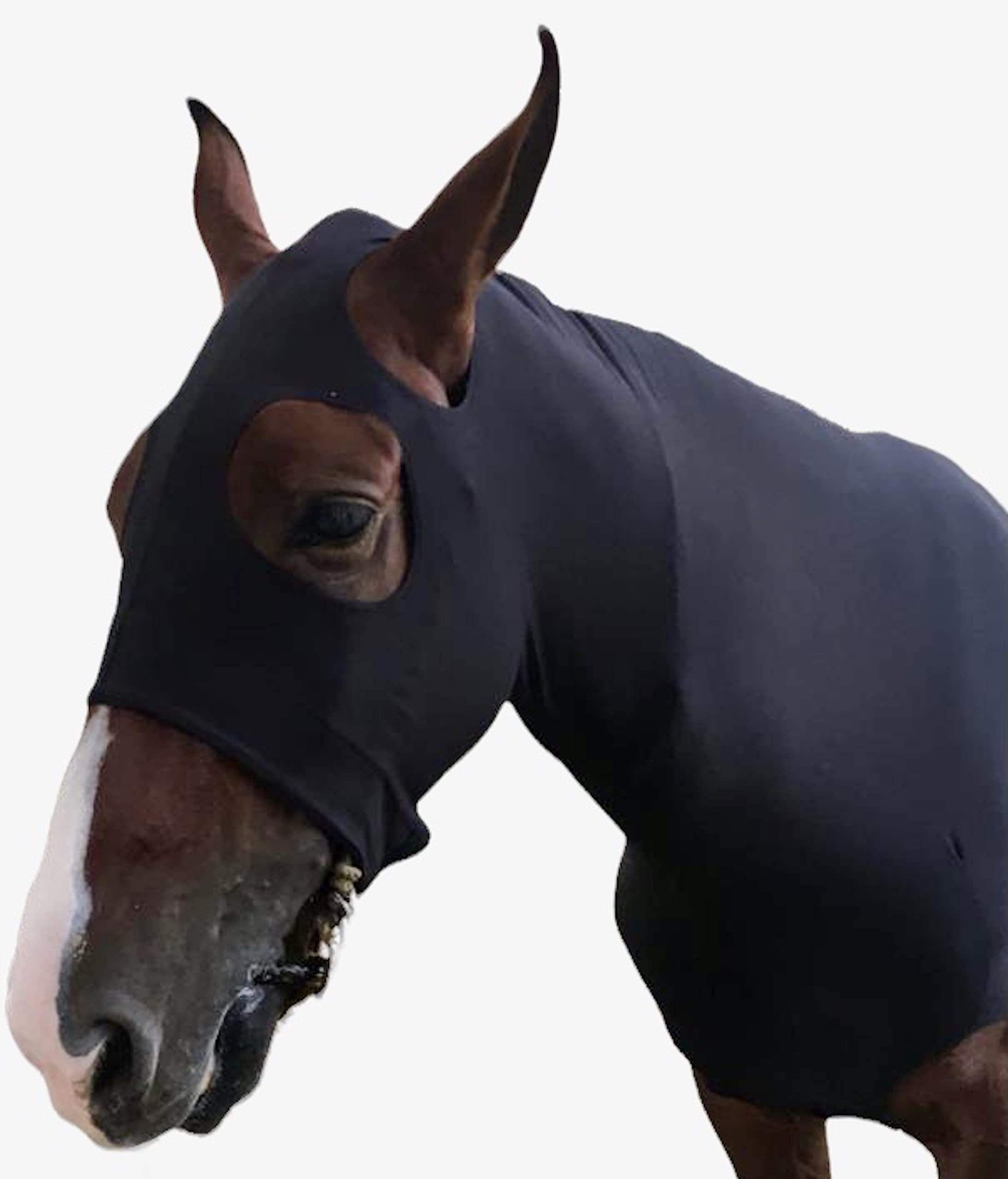 Capuche Majestic Ally – ouvertures oculaires grandes pour meilleure visibilité