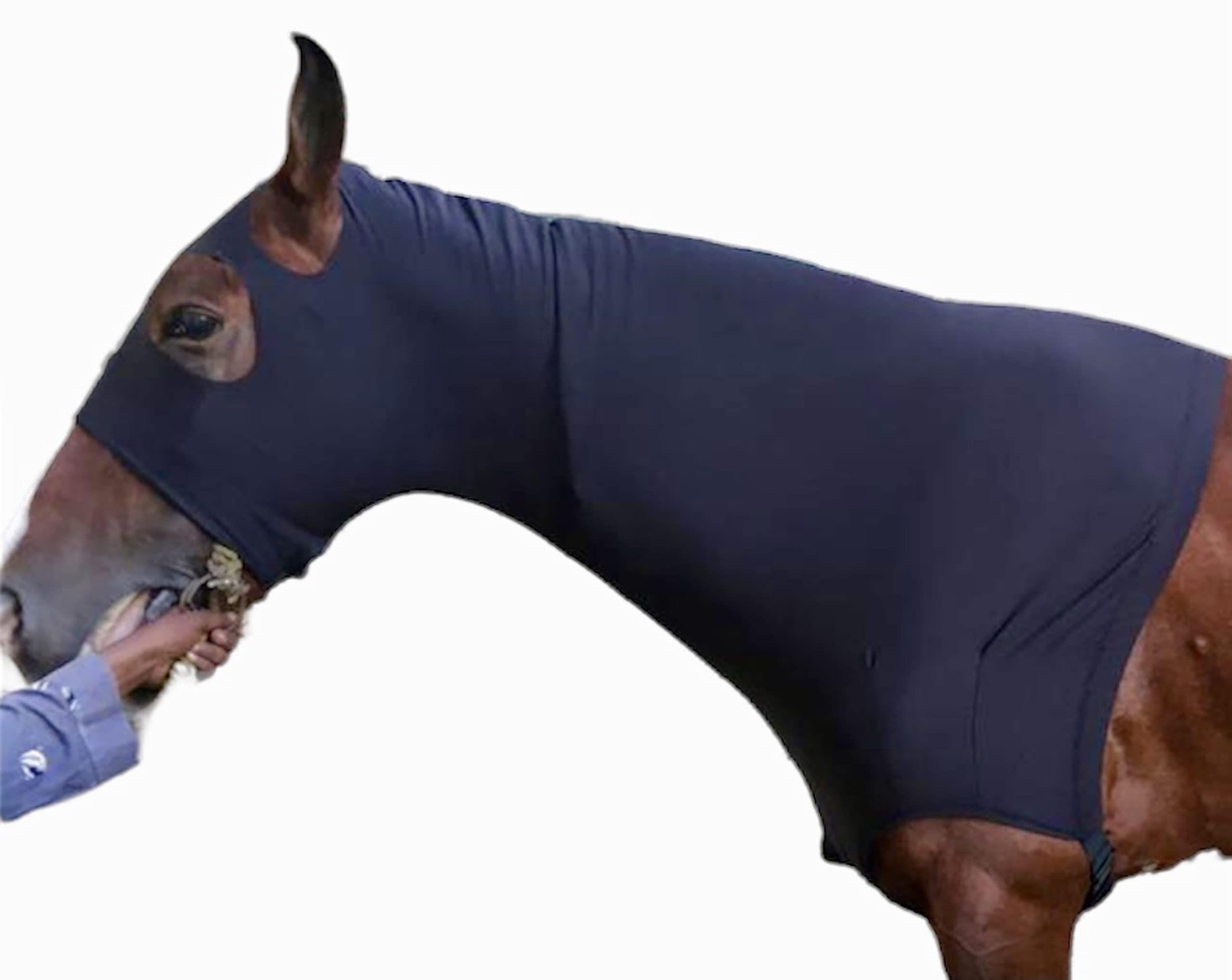 Utilisation sous couverture Majestic Ally garde votre cheval confortable et protégé.