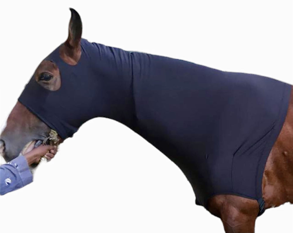 Utilisation sous couverture Majestic Ally garde votre cheval confortable et protégé.