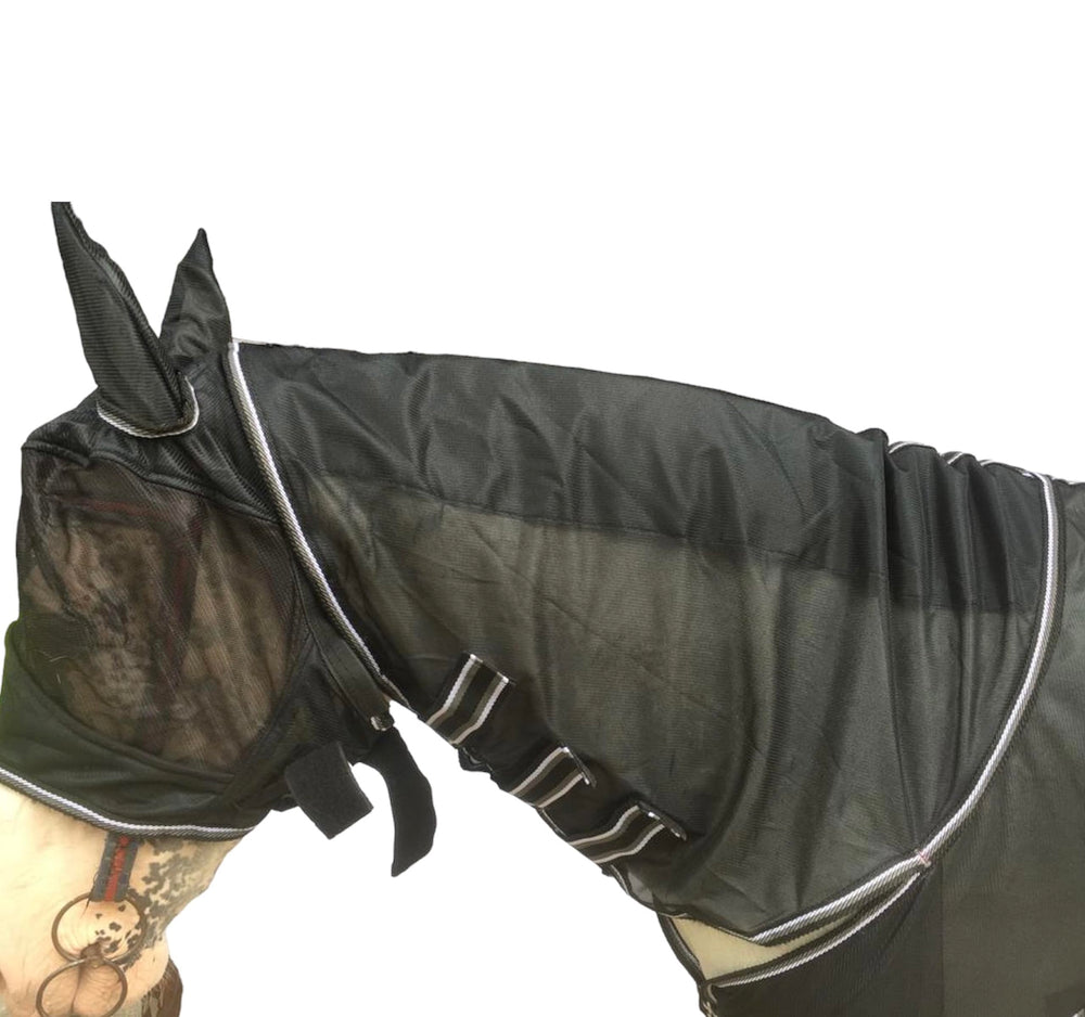 Majestic Ally, cheval en sortie avec protection anti-mouches.