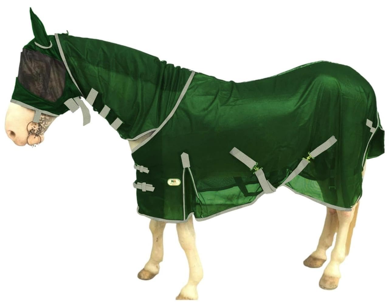 Majestic Ally: ensemble de protection complet pour sorties et pâturage