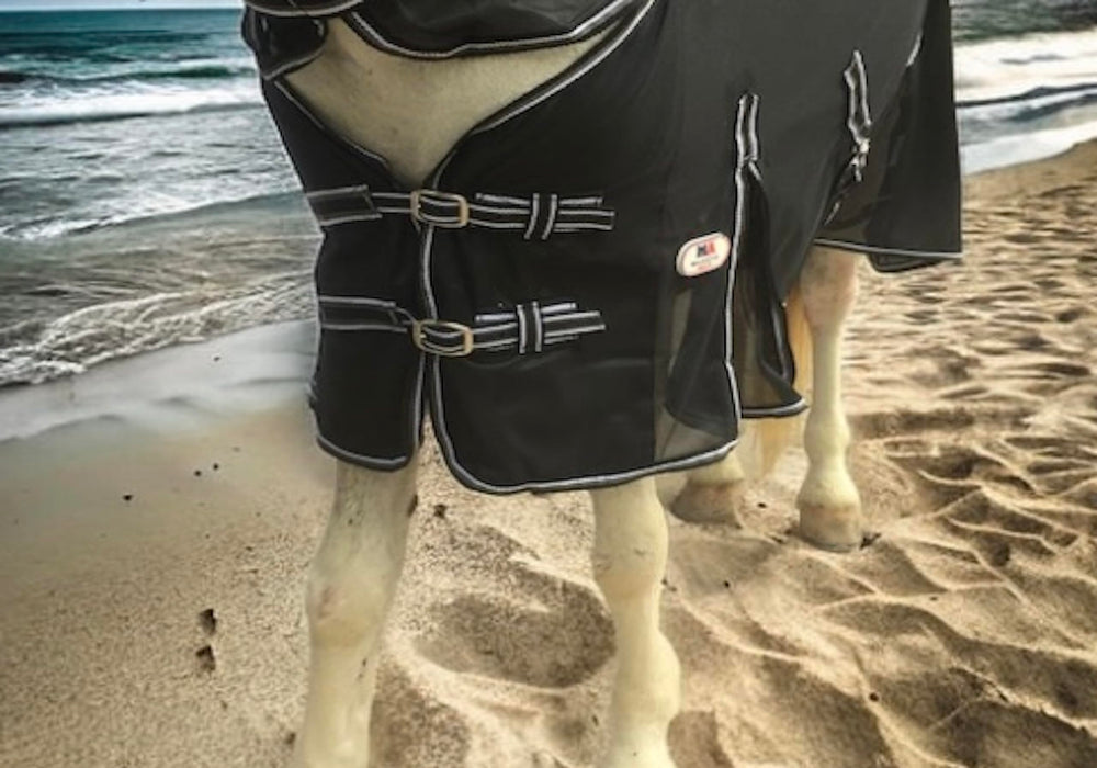 Majestic Ally maille respirante chemise cheval, maintien au frais lors des sorties