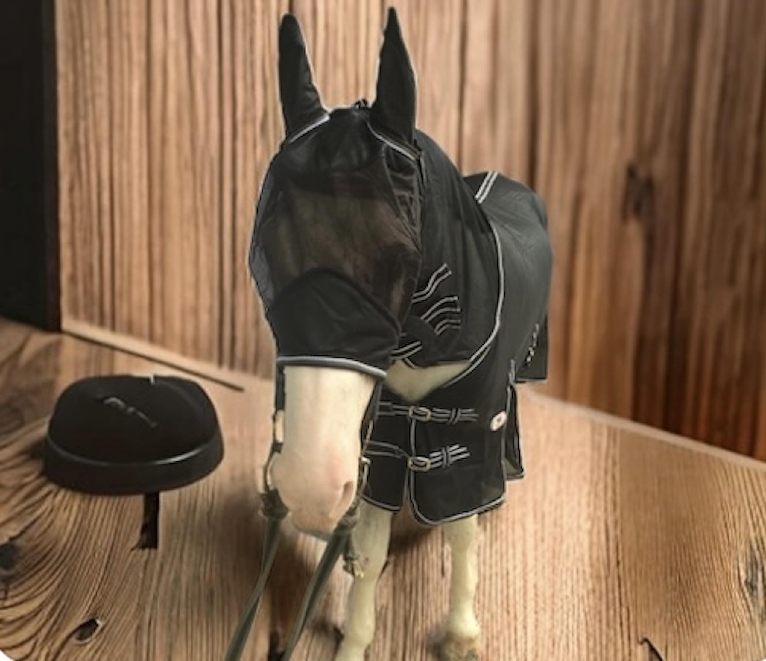 Majestic Ally ventilation-dos cheval assure une bonne circulation d'air.