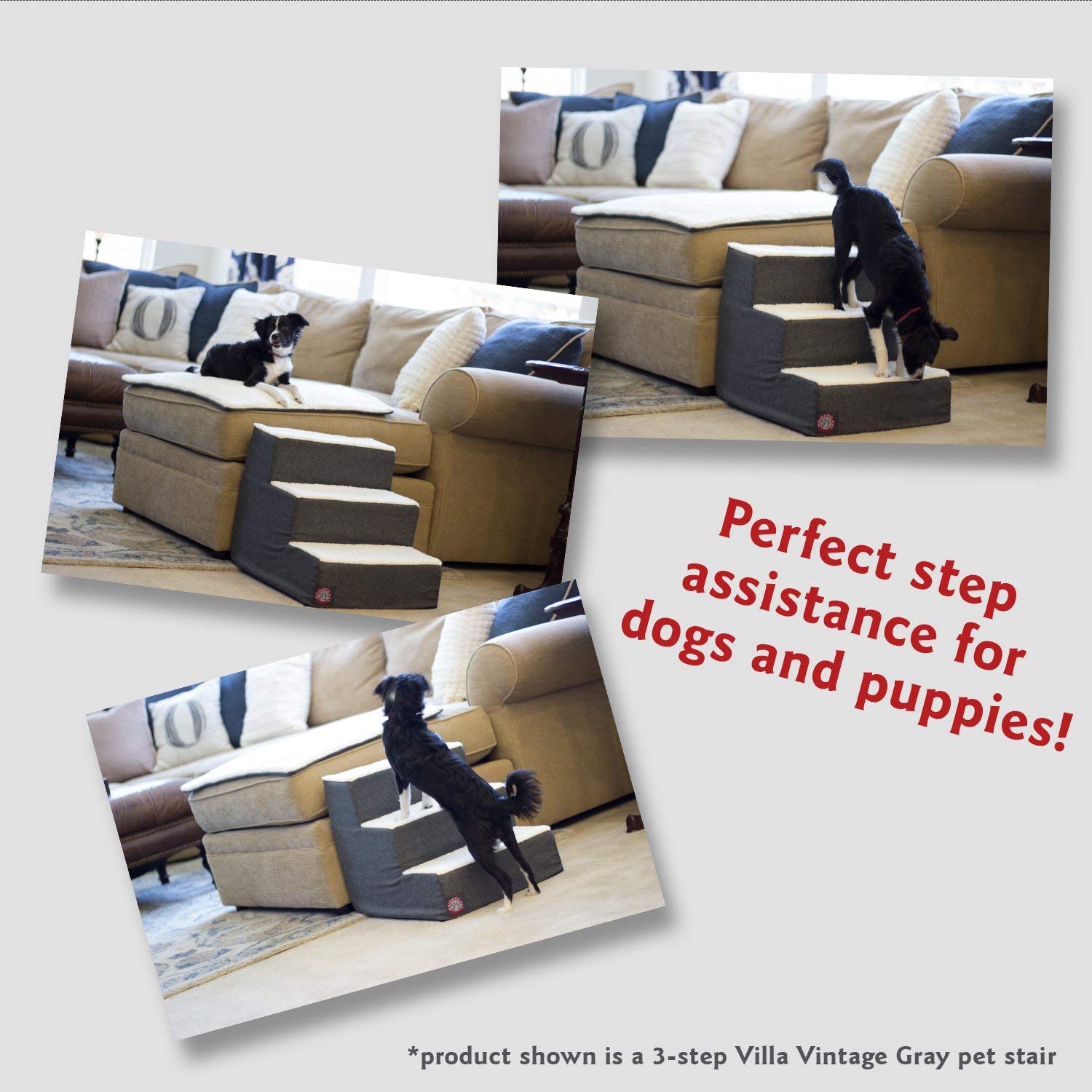 Majestic Pet support ideal pour animaux ages: mouvement plus fluide.