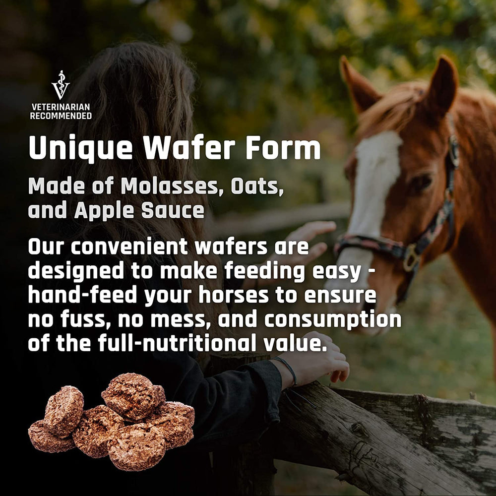 Majesty's Flex HA Wafers : pratique lors des entraînements exigeants