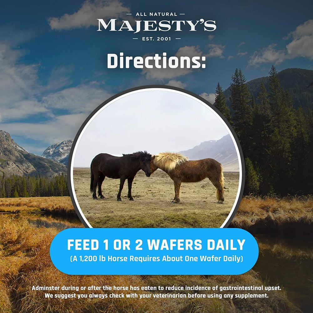 Majesty's KALM+ gaufrettes - deux sachets inclus pour un approvisionnement pratique.
