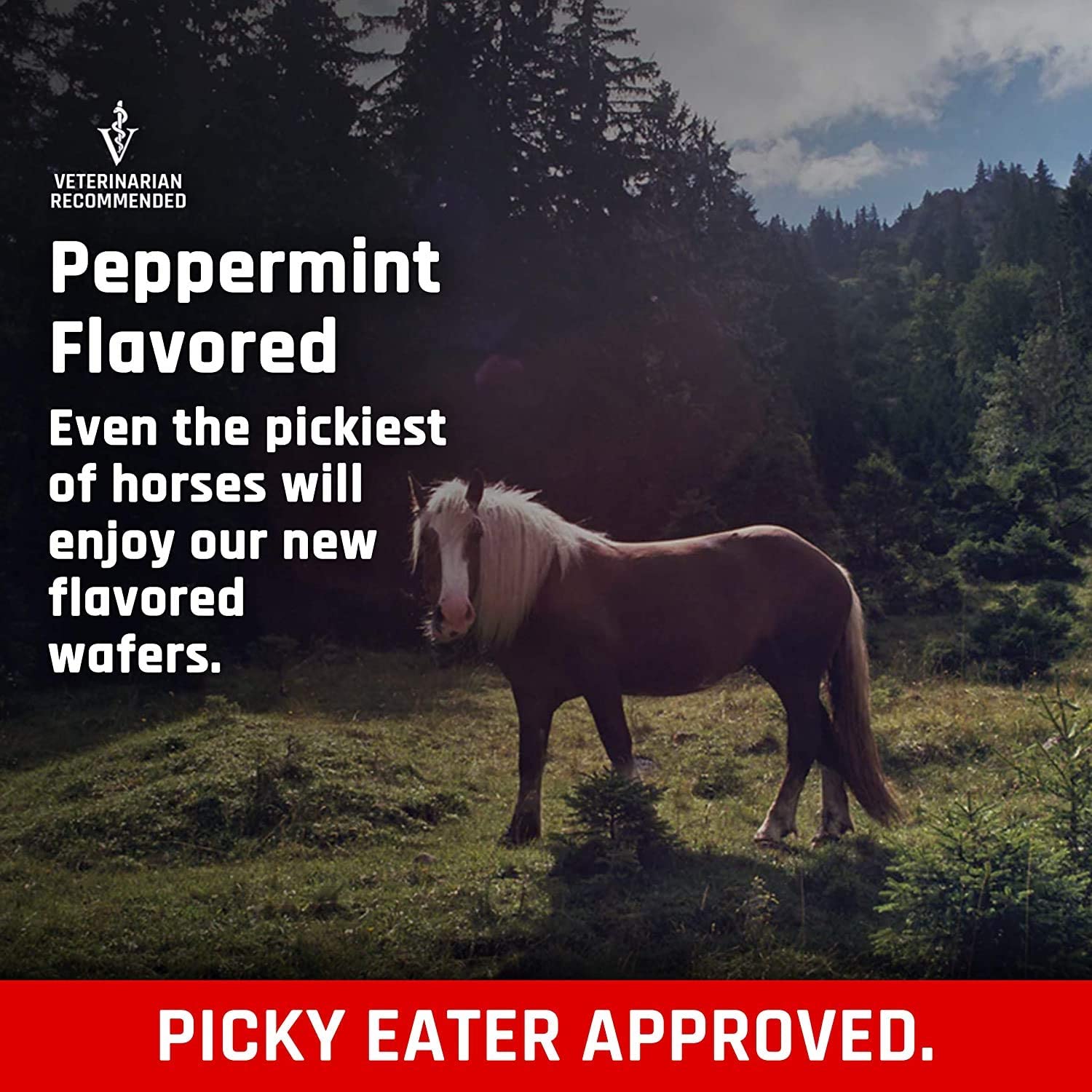 Majesty's KALM+ gaufrettes - ingrédients naturels pour une expérience sensorielle agréable.